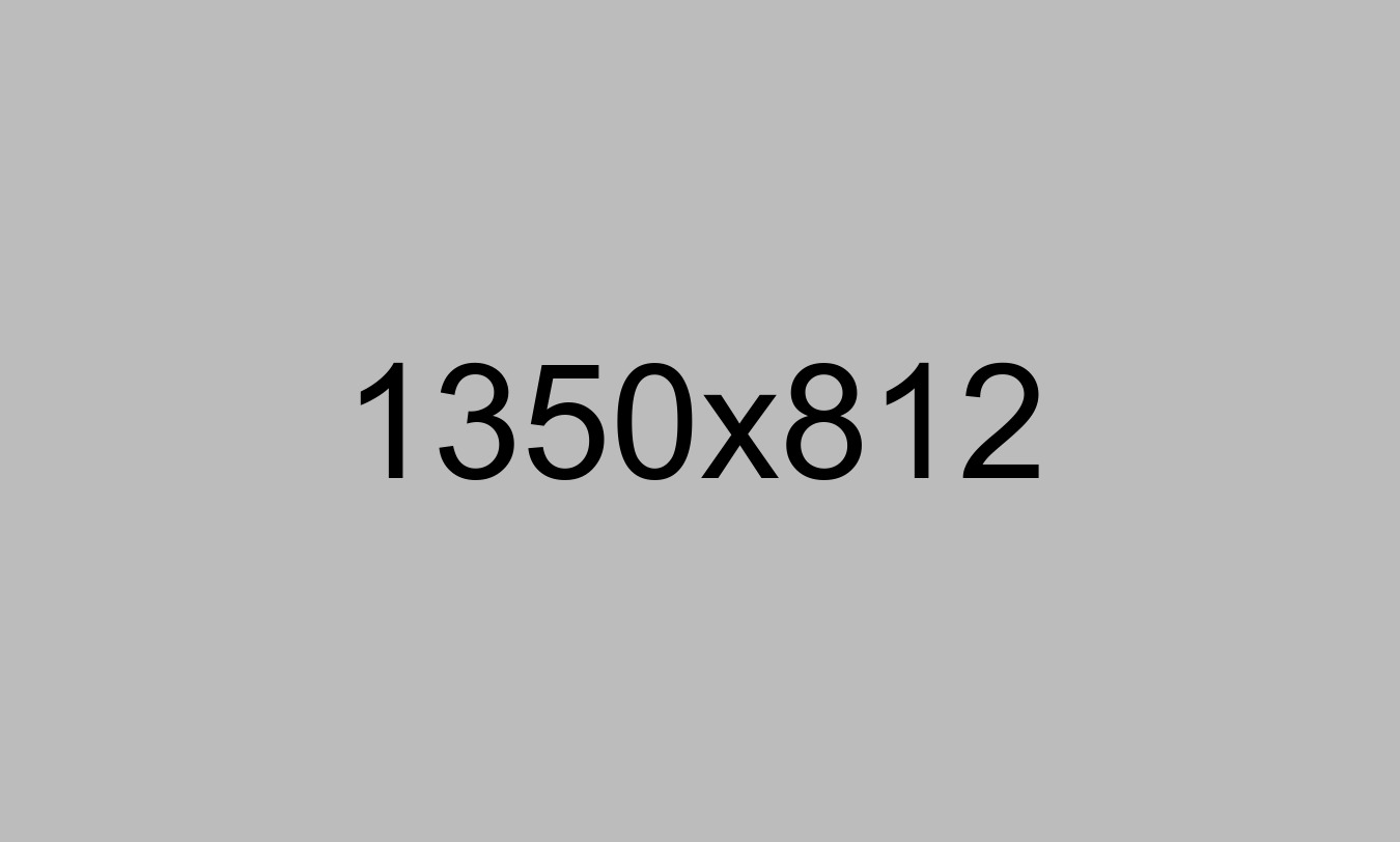 A gray background with the number 1 3 5 0 x 8 1 2.